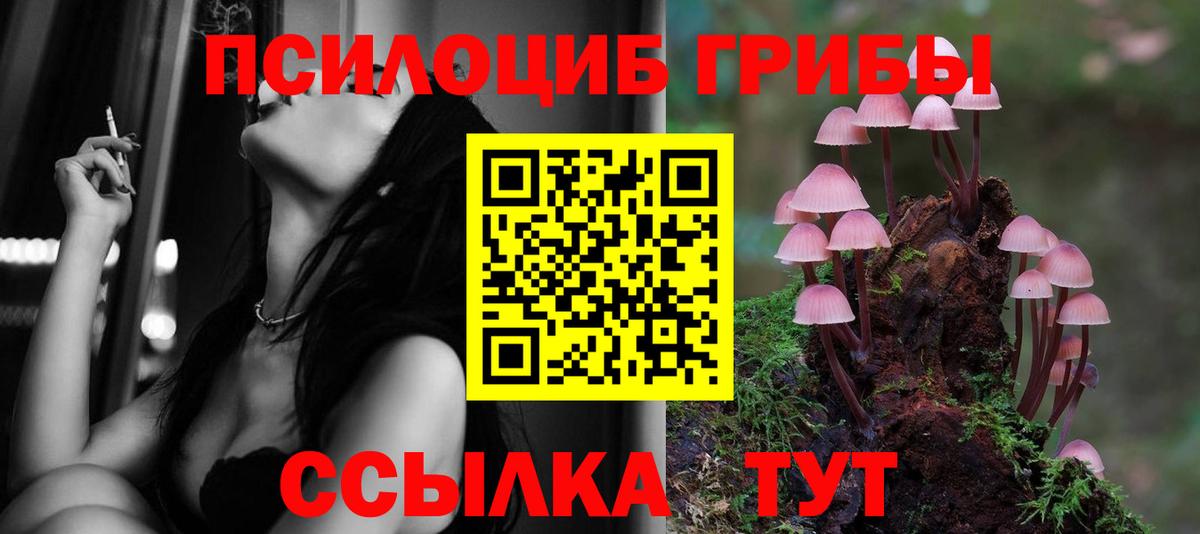 Галлюциногенные грибы MAGIC MUSHROOMS Крымск